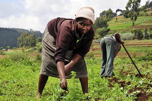 Les négociations du partenariat économique entre l’UE et l’Afrique s'enlisent